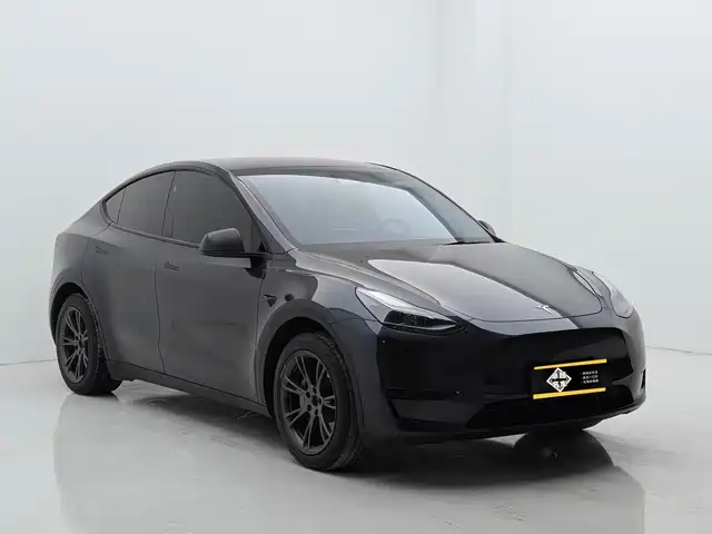 Tesla Model Y 2025