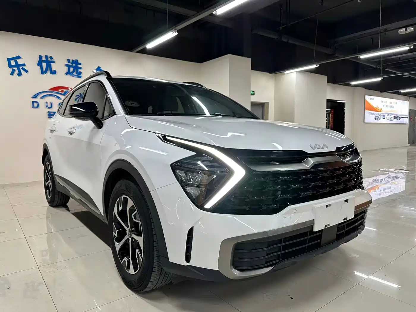 KIA LION PLATINUM EXPANDS THE WORLD