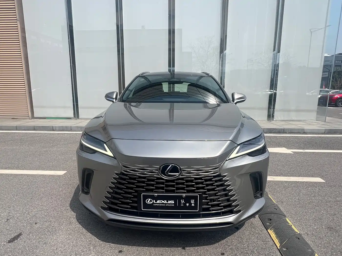 LEXUS RX