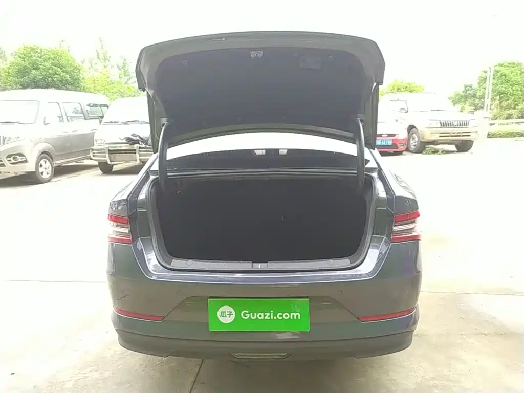 BYD Qin Pro 2020 Surpass Edition 1.5TI Automatic Flagship фото 19
