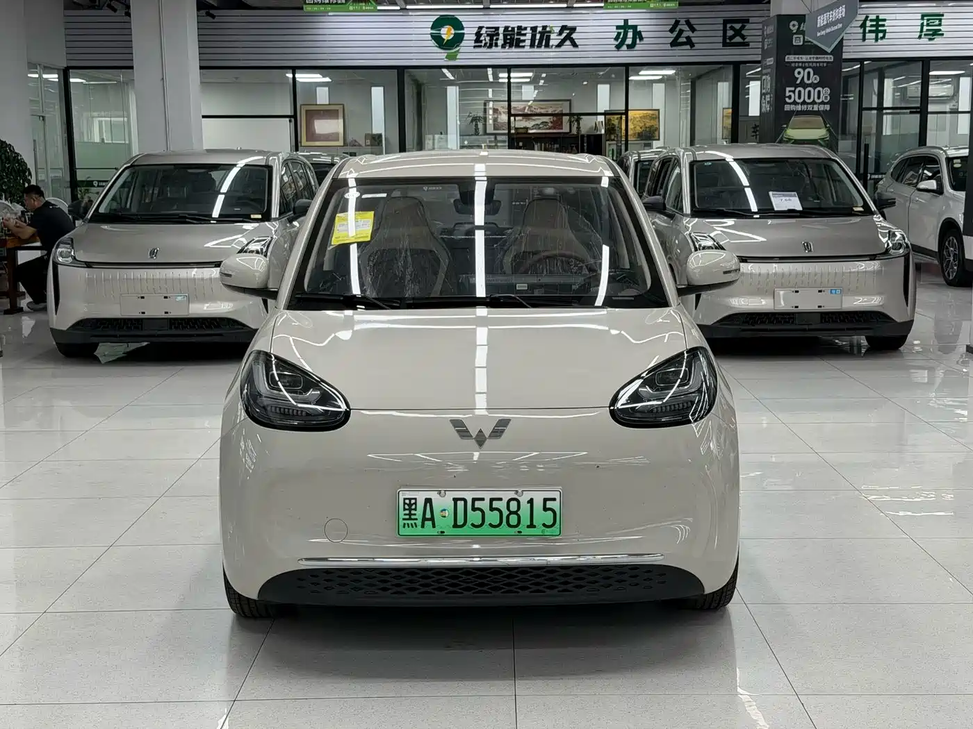 Wuling Motors Wuling Bingo 2026 2025 Model 333km Joy Edition
