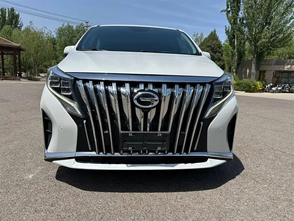 GAC Trumpchi Trumpchi M8 2023 Leading Series 390T Prestige Edition фото 2