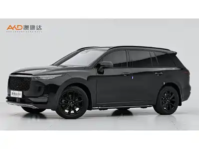 Li Auto ONE