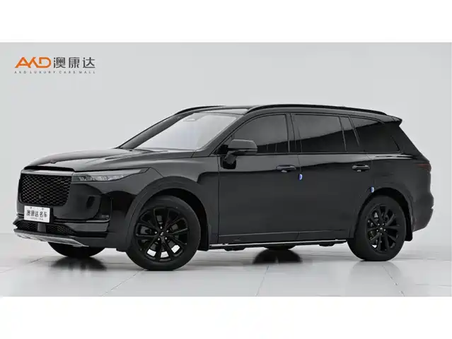 Li Auto ONE