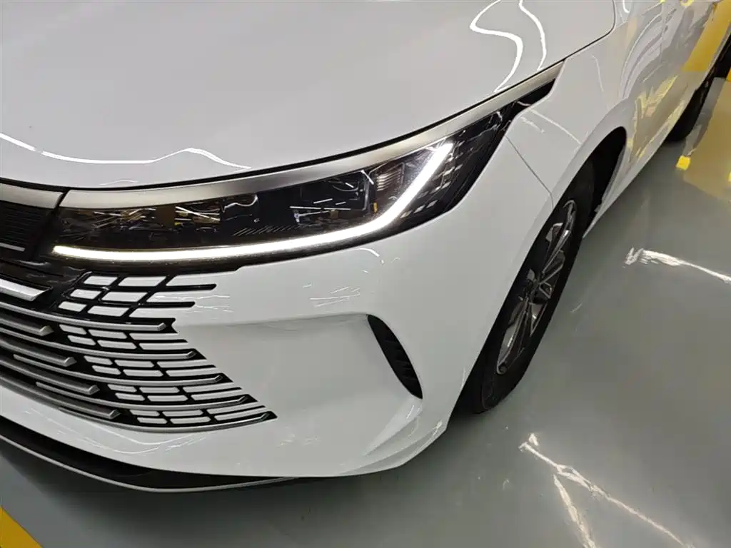 BYD Destroyer 05 2024 Glory Edition DM-i 55KM Luxury фото 24