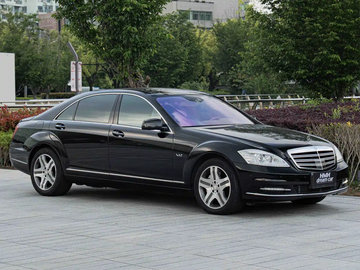 Mercedes-Benz S-Class 2010 S 600 L фото 3
