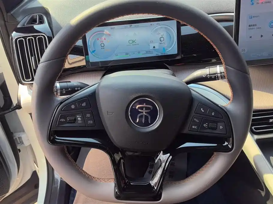 BYD SONGJIANG NEW ENERGY