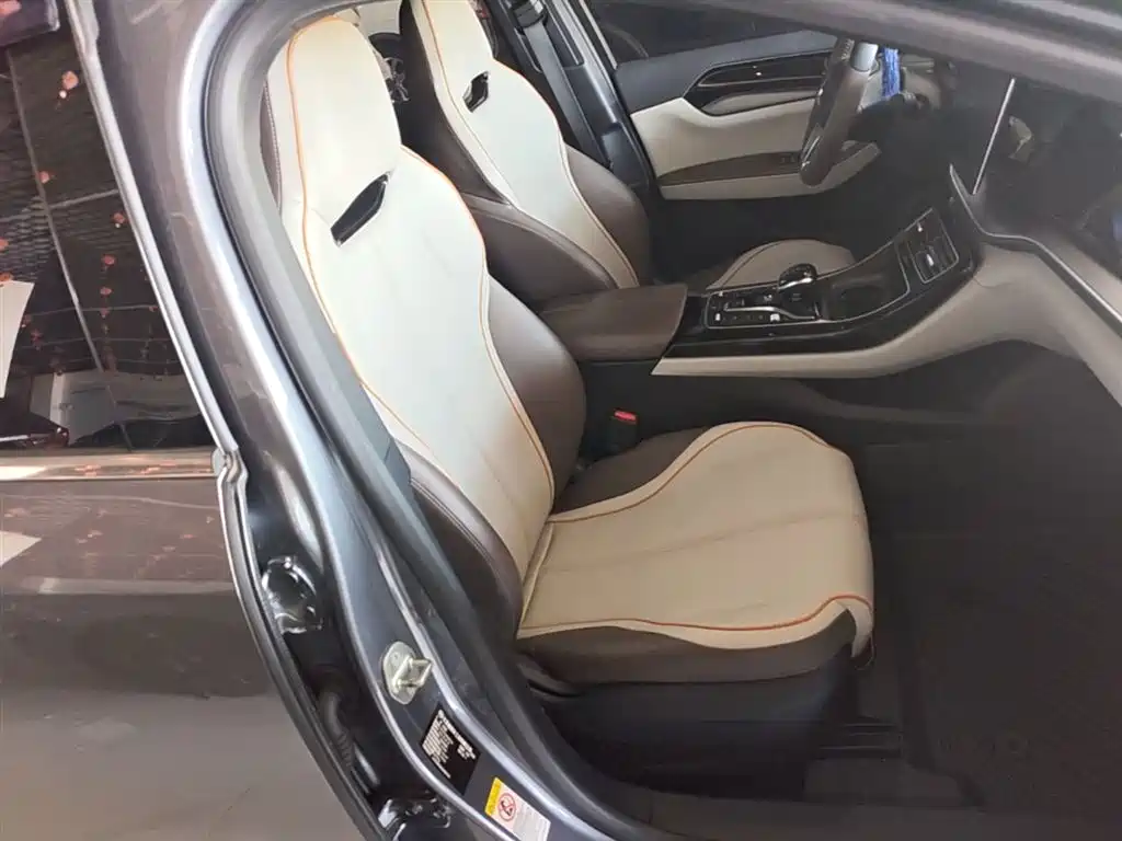 BYD Qin PLUS 2023 Champion Edition EV 510KM Advanced Type фото 25