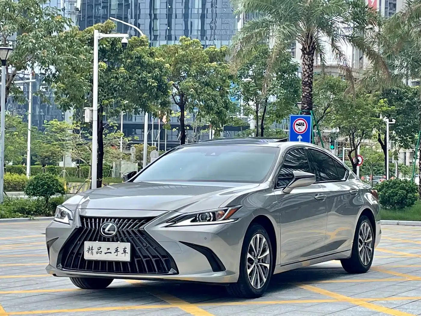 Lexus ES 2023 200 Luxury Edition