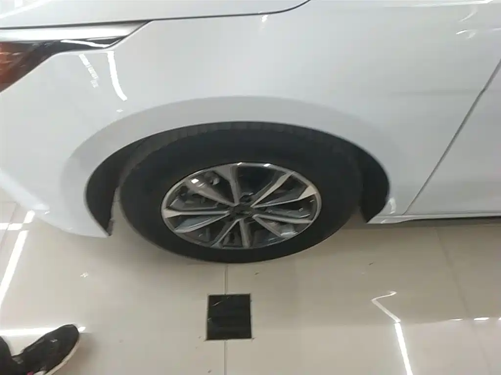 BYD Destroyer 05 2024 Glory Edition DM-i 55KM Luxury фото 23