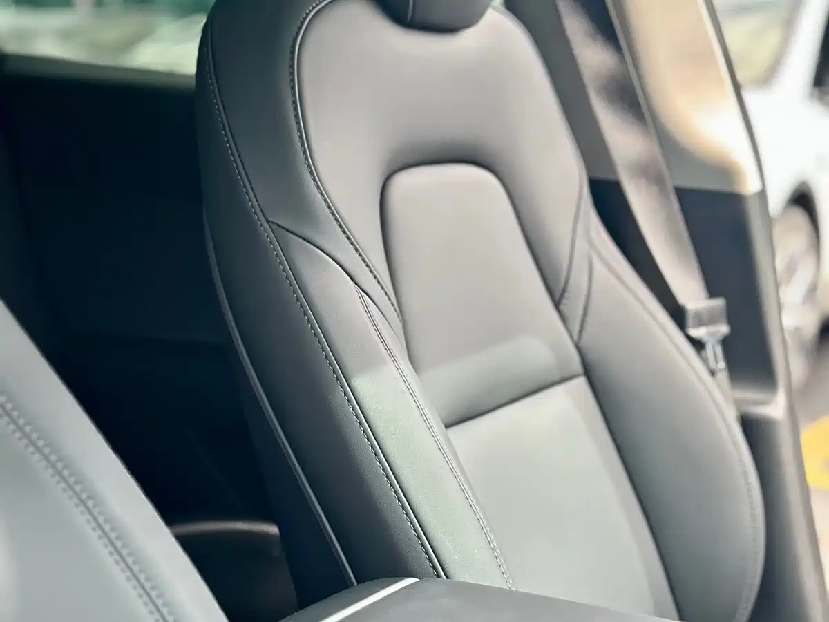 Tesla Model Y 2021 2021 Standard Range Rear-Wheel Drive