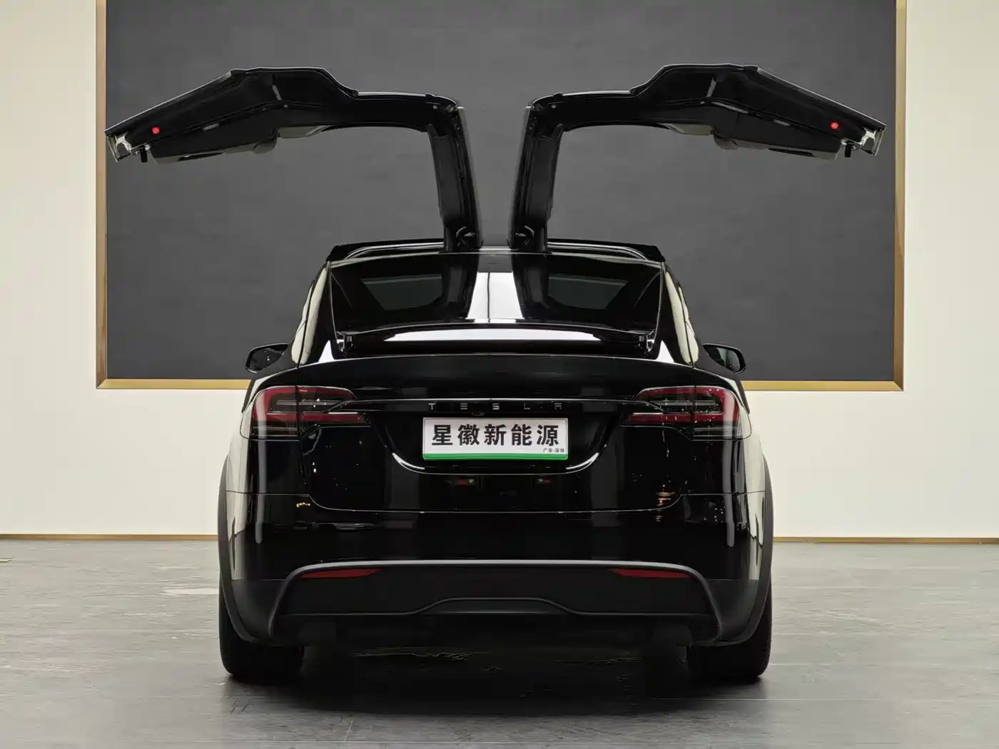 Tesla Model X 2023 Dual Motor All-Wheel Drive Edition фото 17