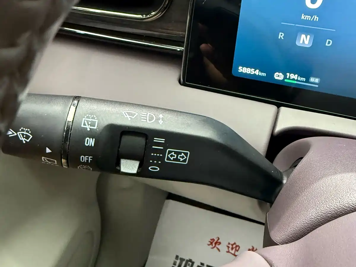 Leapmotor C11 2021 2021 Model Premium Edition