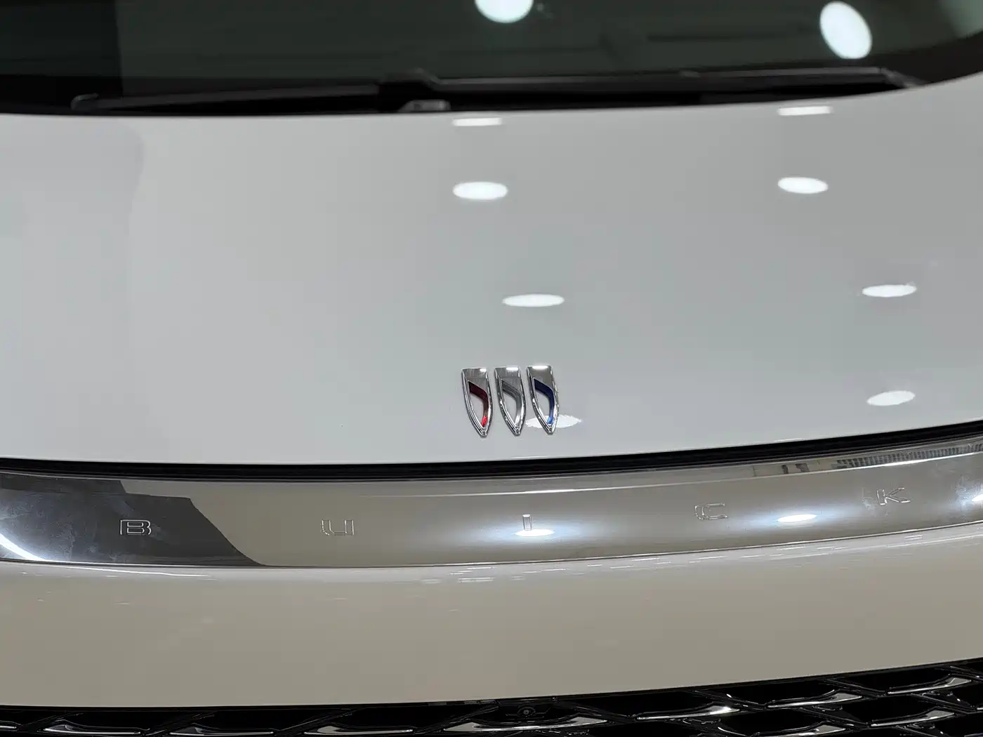 Buick Century 2025 2.0T 7-Seater World Edition фото 11
