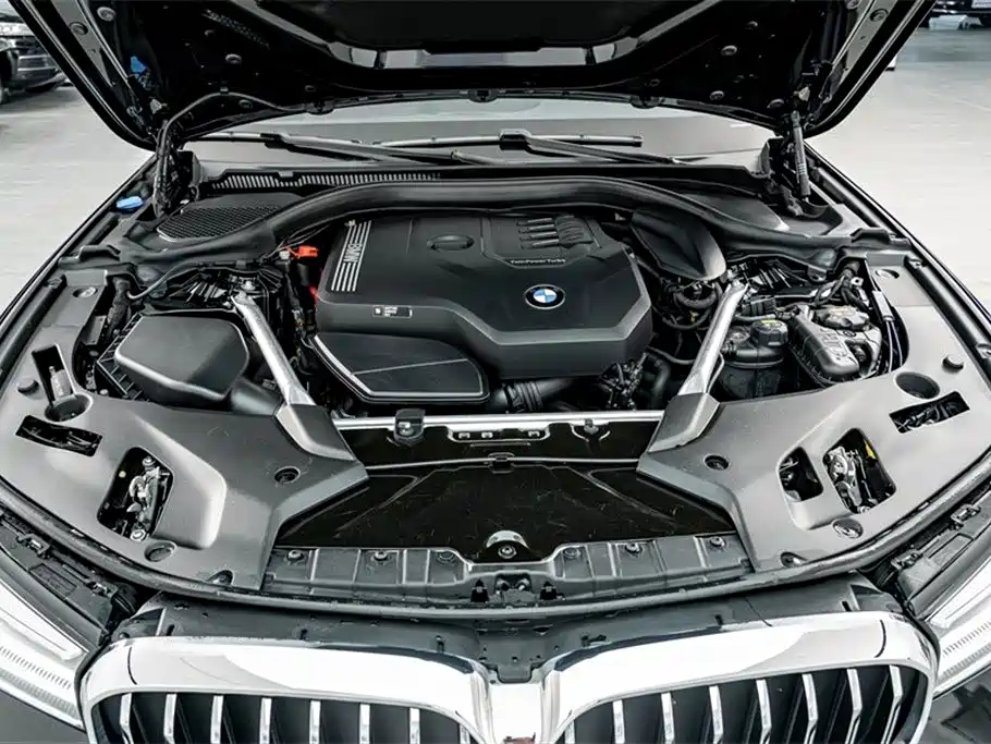 BMW 5 Series 2021 Facelift 530Li Leading Luxury Package фото 25