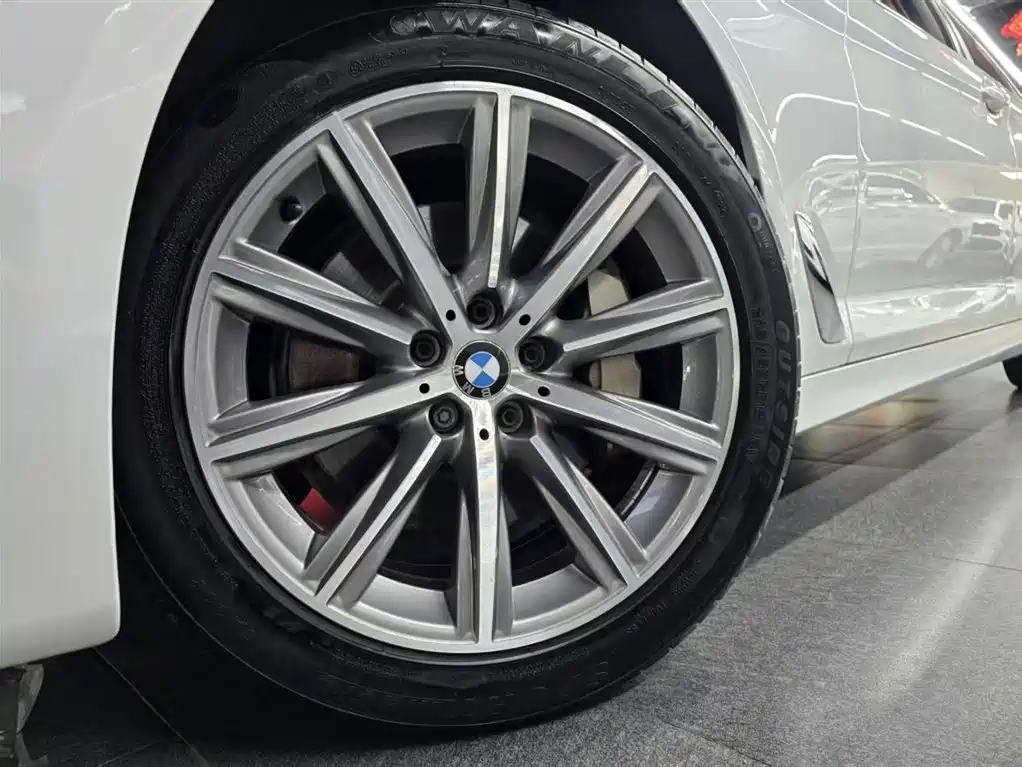 BMW 5 Series 2018 528Li Launch Special Edition фото 17