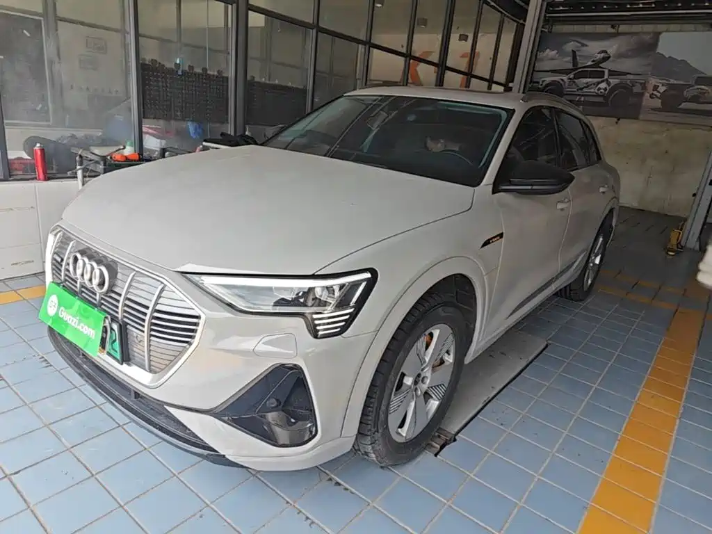Audi e-tron 2023 2021 50 quattro Luxury
