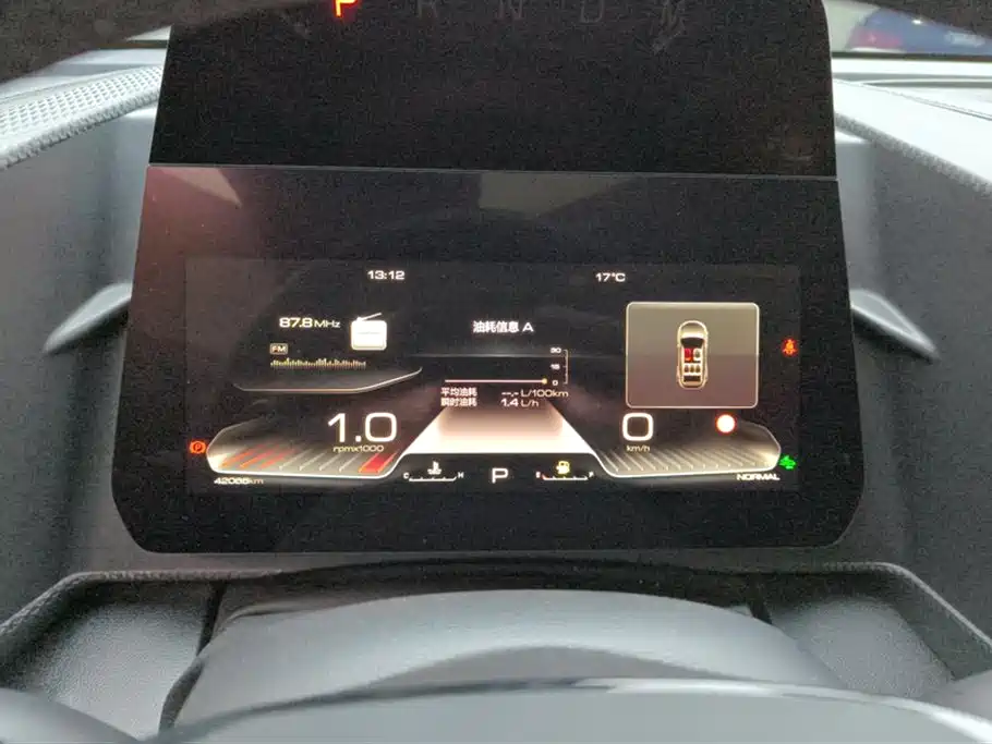 Haval Big Dog 2024 1.5T DCT Border Collie Edition фото 14