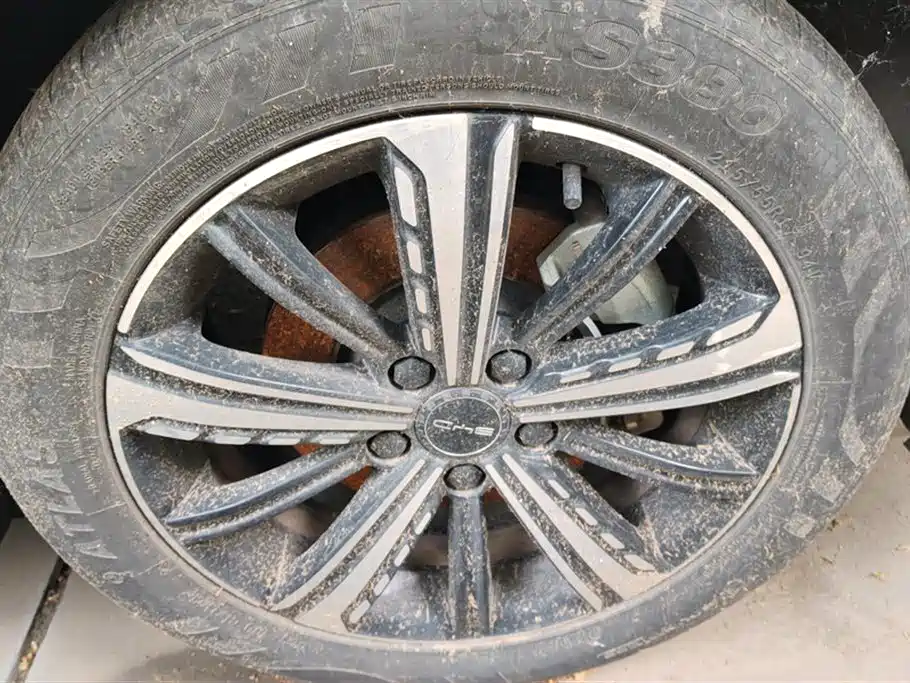 BYD Destroyer 05 2023 Champion Edition DM-i 120KM Premium фото 6