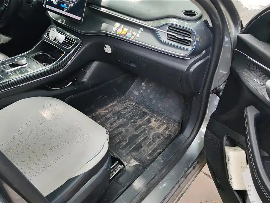 BYD Destroyer 05 2023 Champion Edition DM-i 120KM Premium фото 8