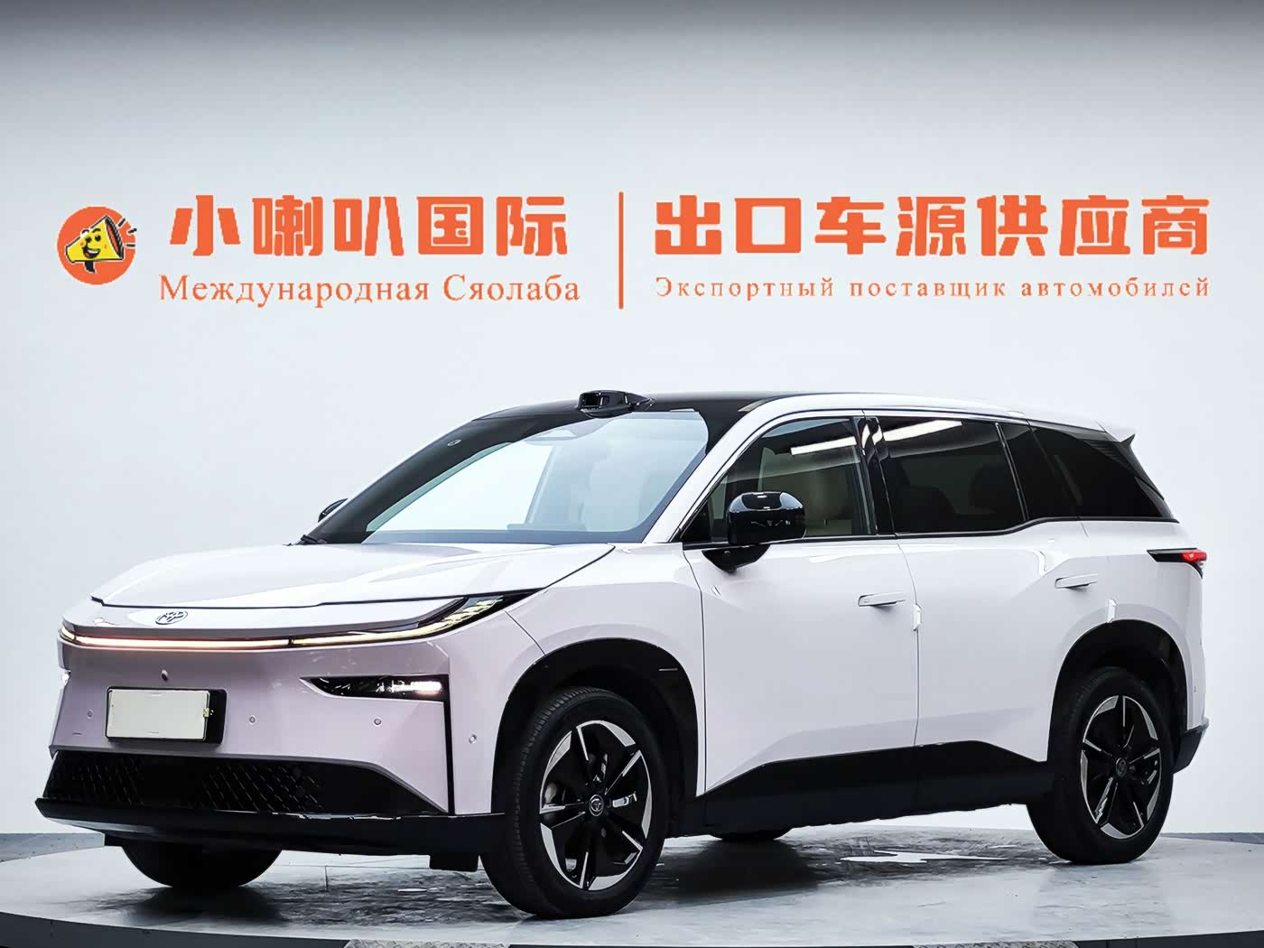 Toyota BoZhi 3X