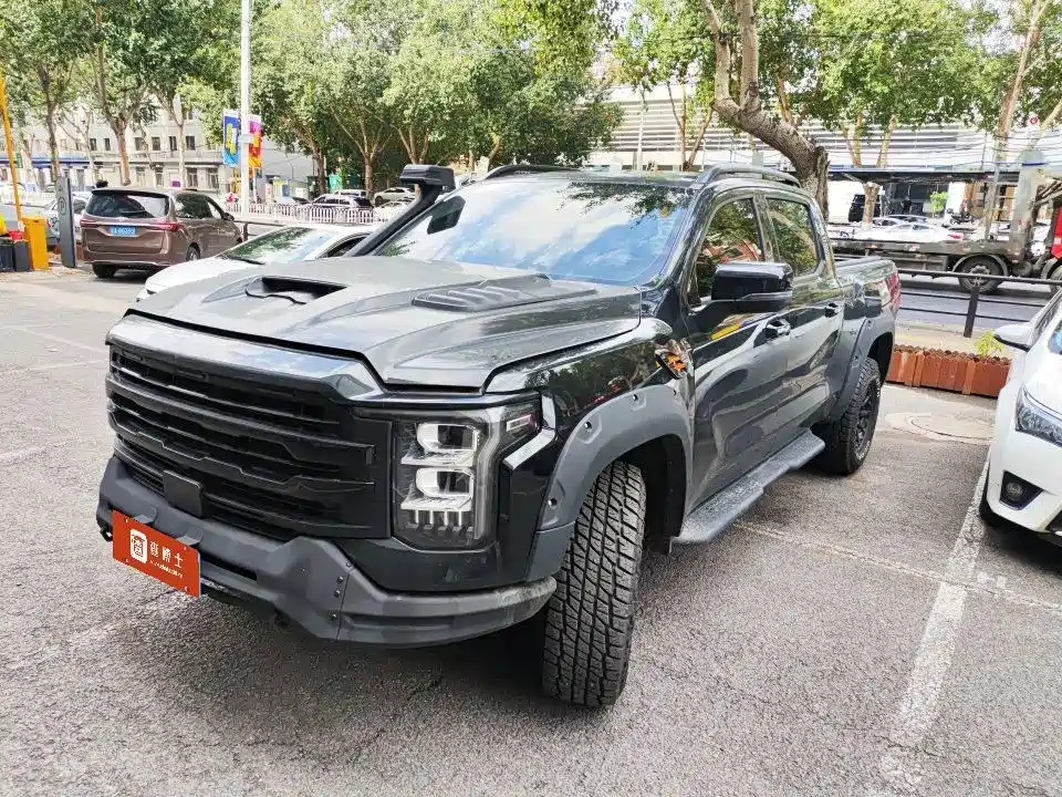 2025 Foton Mars