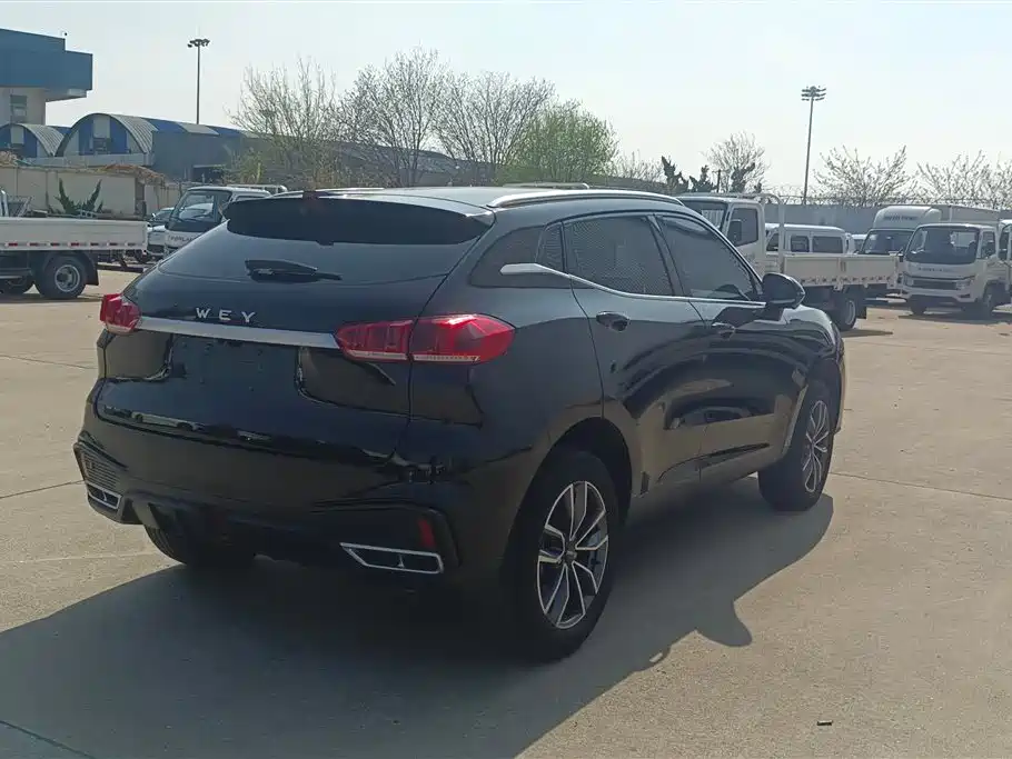 WEI PAI WEI BRAND VV5