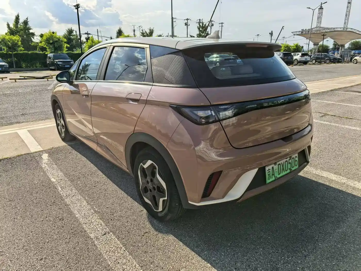 BYD Dolphin 2021 2021 Model 405km Fashion Edition