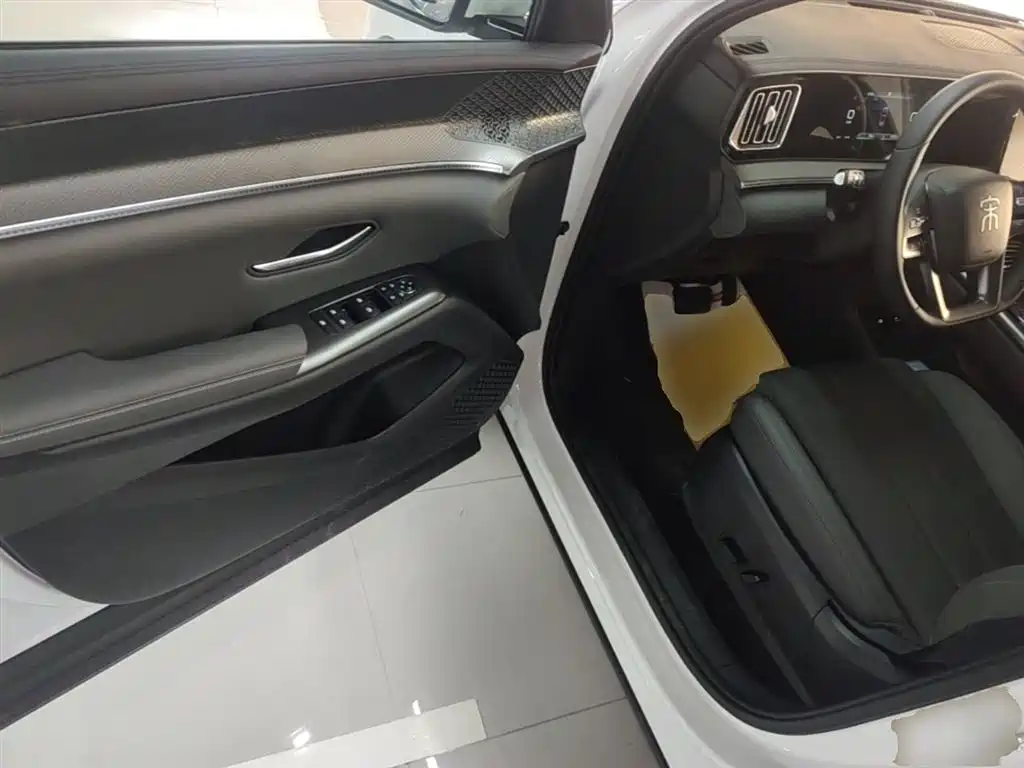 BYD SONGJIANG NEW ENERGY