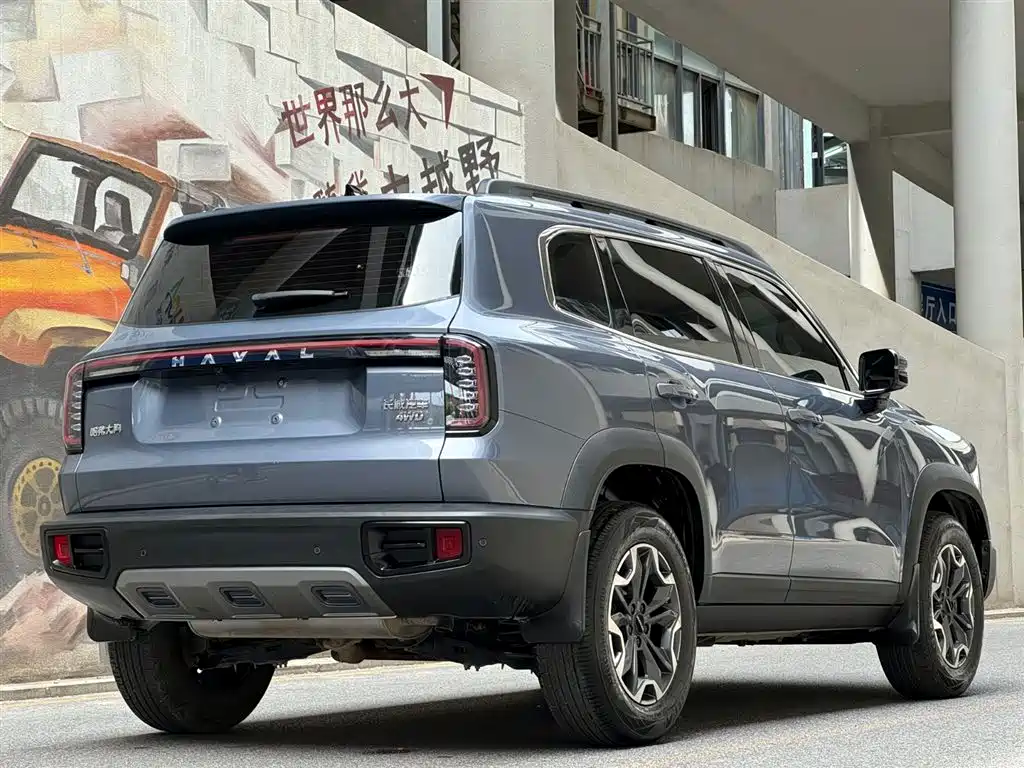 Haval Big Dog 2024 2.0T DCT Chinese Rural Dog Edition фото 5