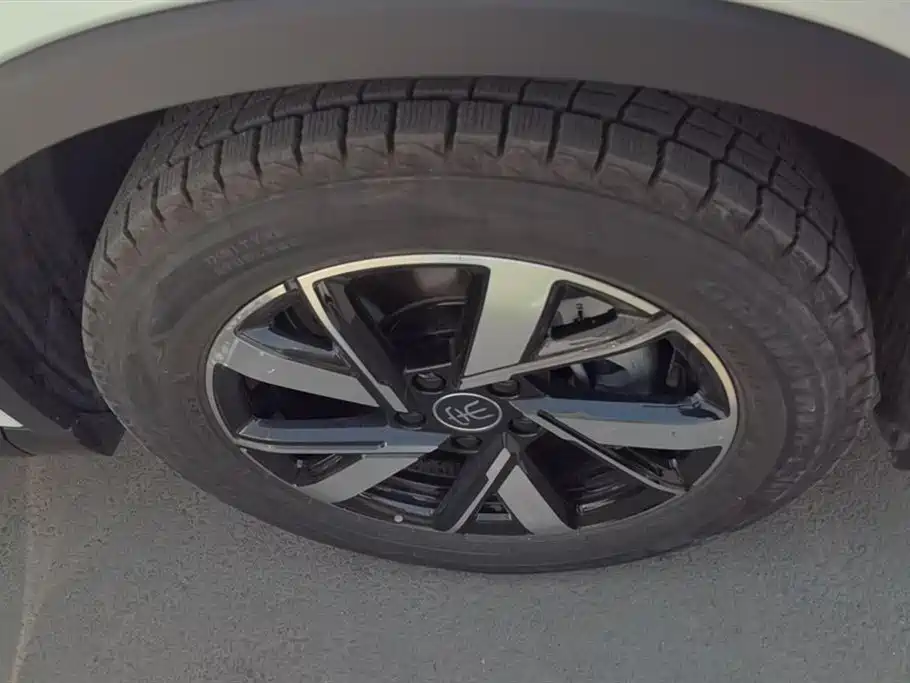 BYD SONGJIANG NEW ENERGY