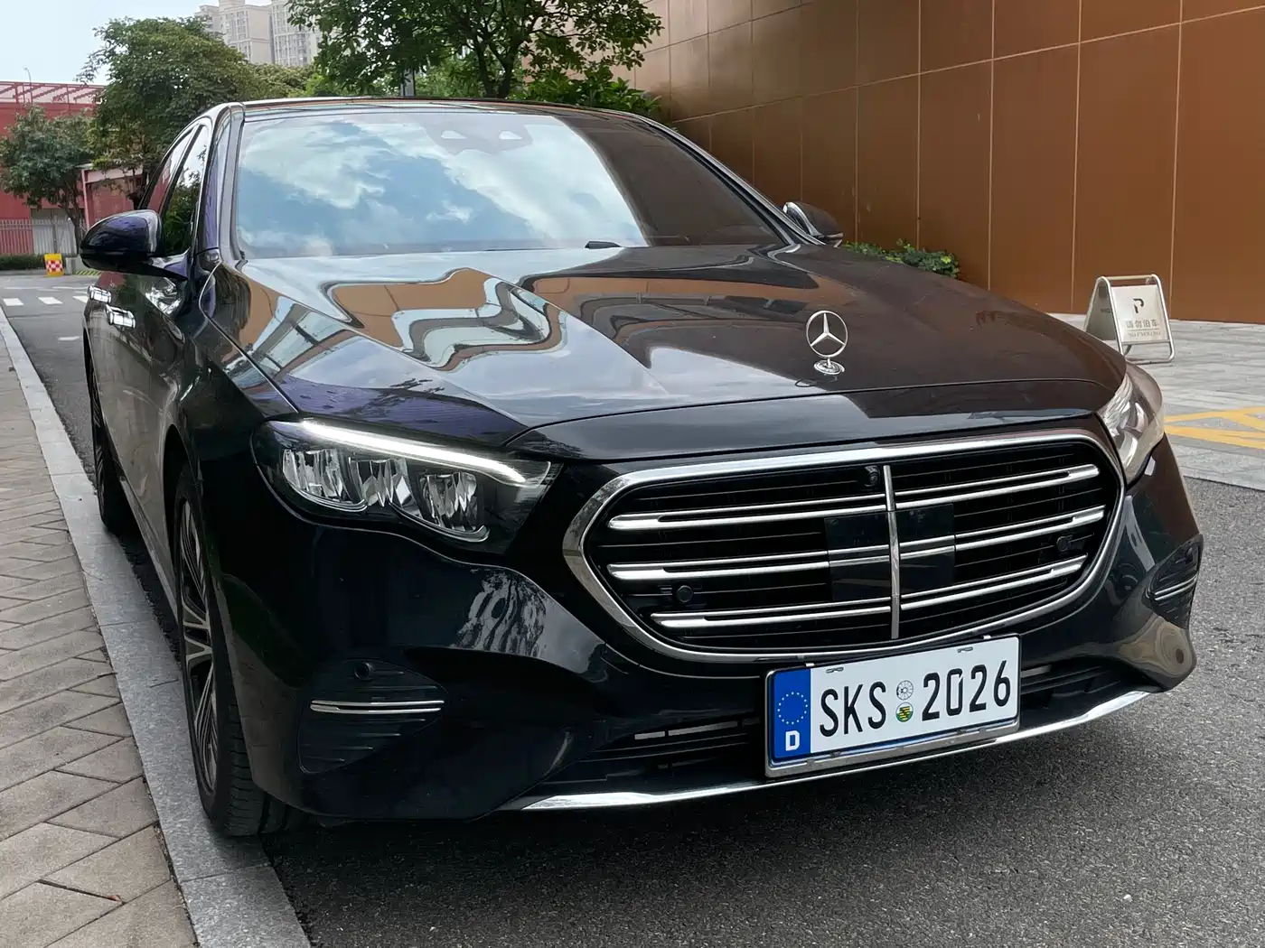 Mercedes-Benz E-Class 2025 Facelift E 300 L Luxury фото 3