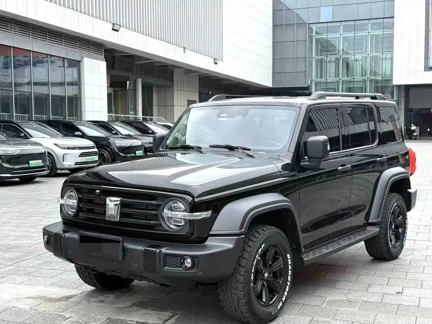 Tank 300 2021 Off-road Version 2.0T Conqueror