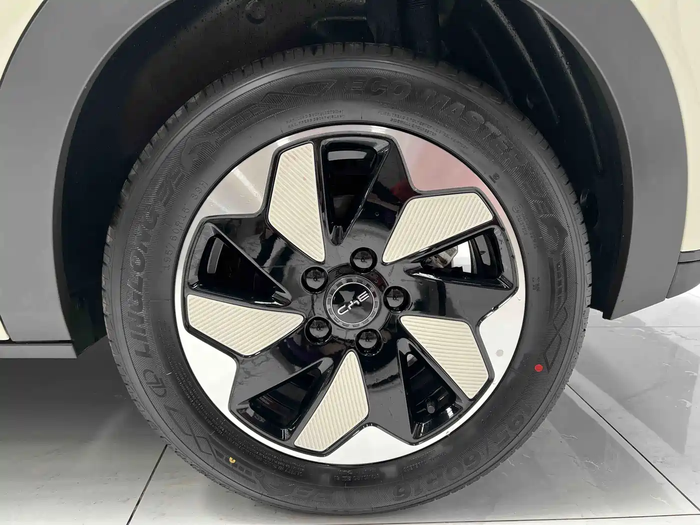 BYD Dolphin 2026 2025 420km Freedom Edition