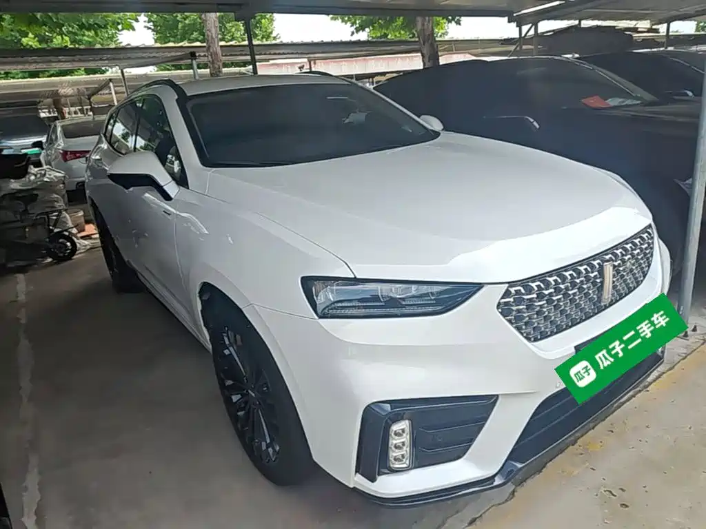 WEY VV7 New Energy 2020 2020 PHEV 2.0T Flagship Model