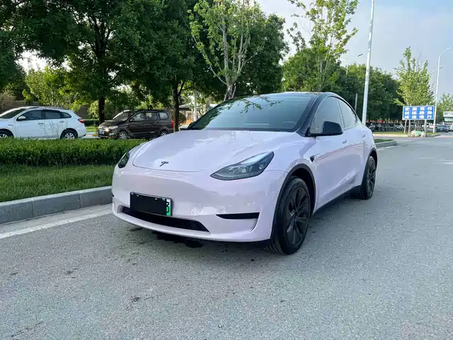Tesla Model Y Задний привод