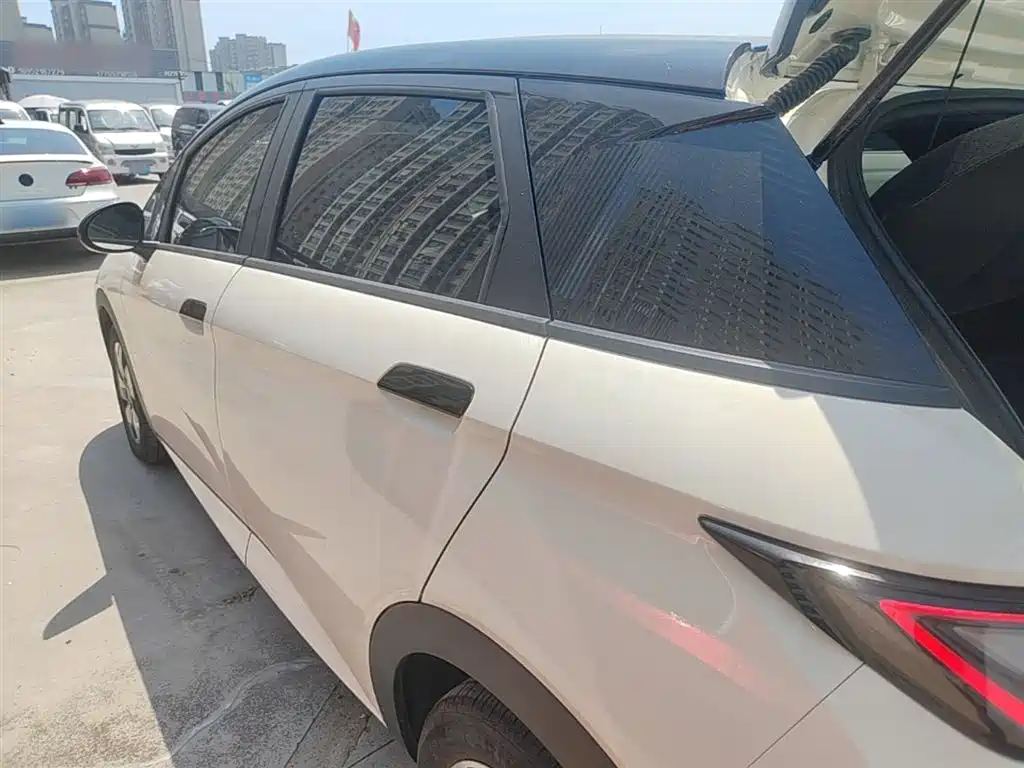 BYD Dolphin 2025 420km Freedom Edition фото 5