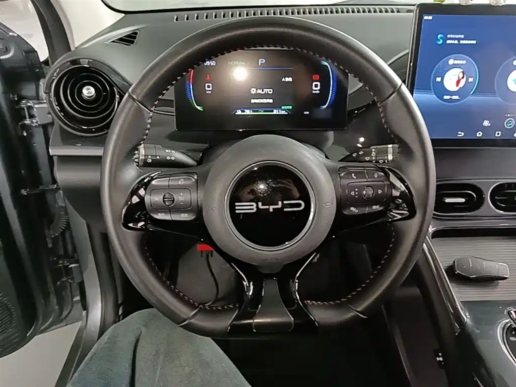 BYD E2