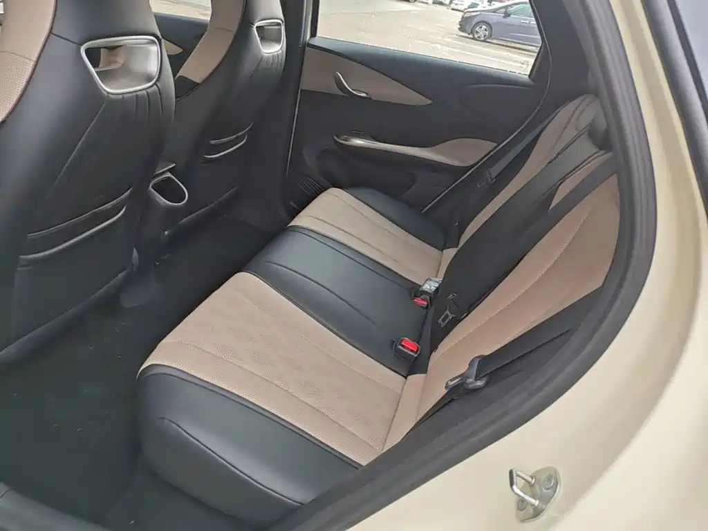 BYD Dolphin 2026 2025 420km Freedom Edition