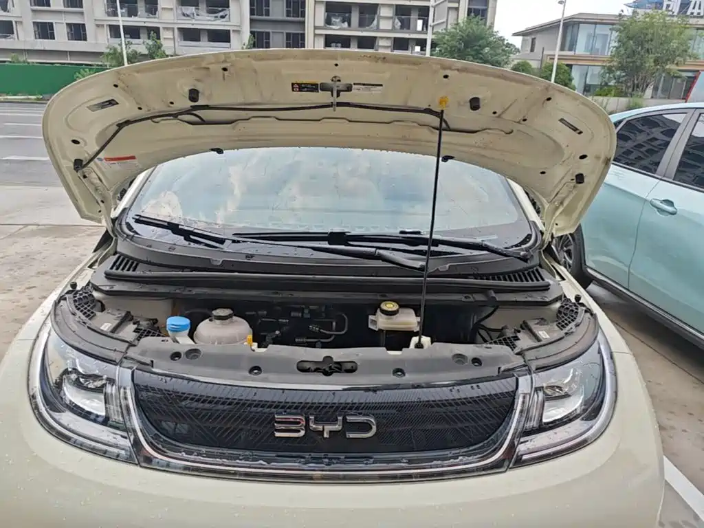 BYD Dolphin 2026 2025 420km Freedom Edition