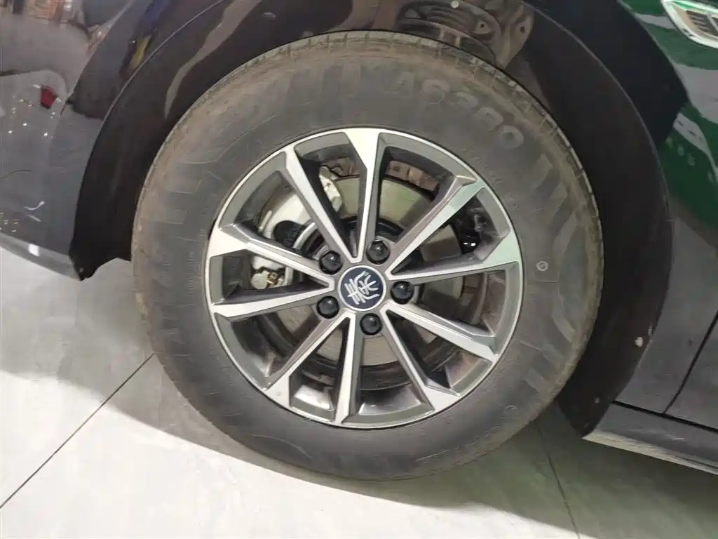 BYD Qin PLUS 2023 Champion Edition DM-i 55KM Leading фото 25