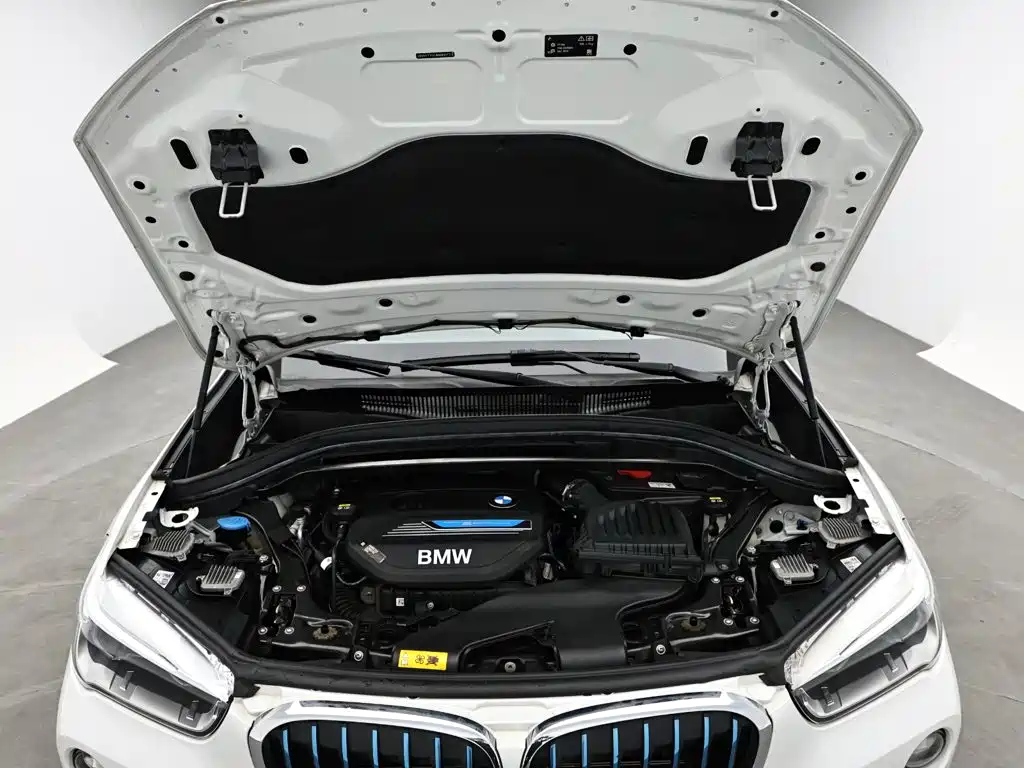 BMW X1 New Energy 2018 2018 xDrive25Le Luxury Model