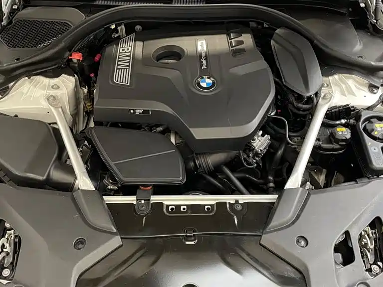 BMW 5 Series 2020 530Li xDrive Luxury Package фото 25