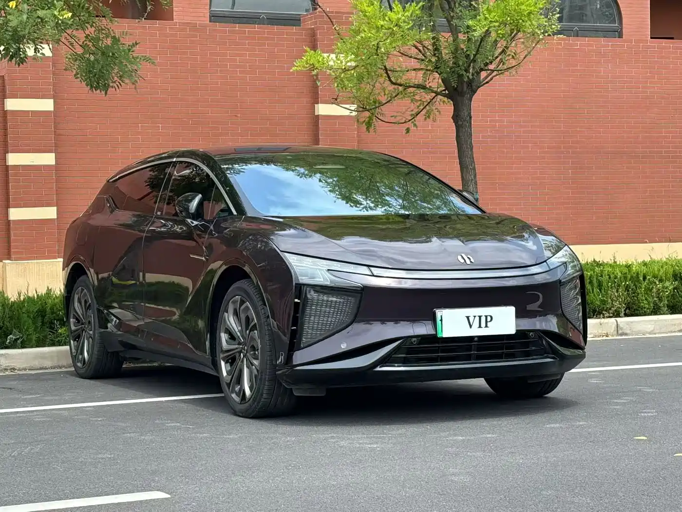 HiPhi X 2022 2021 Flagship Edition 6-Seater