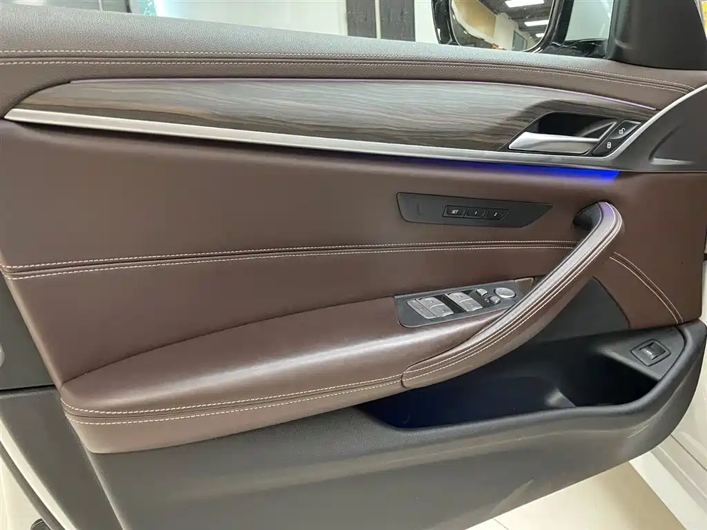 BMW 5 Series 2020 530Li xDrive Luxury Package фото 14