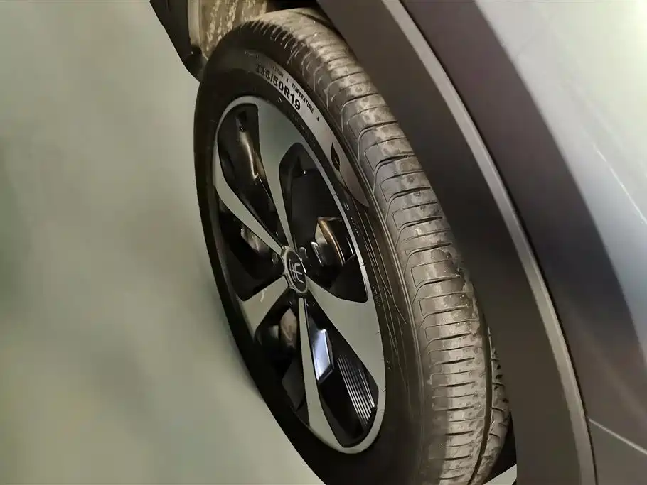BYD Song PLUS PHEV 2021 DM-i 51KM Honor фото 6