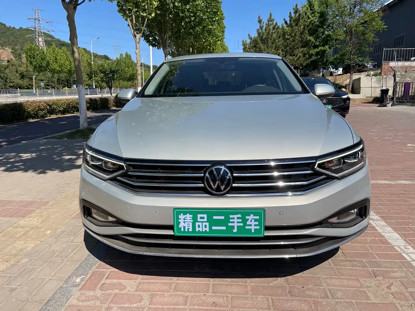 Volkswagen Magotan 2020 330TSI DSG Leading фото 2