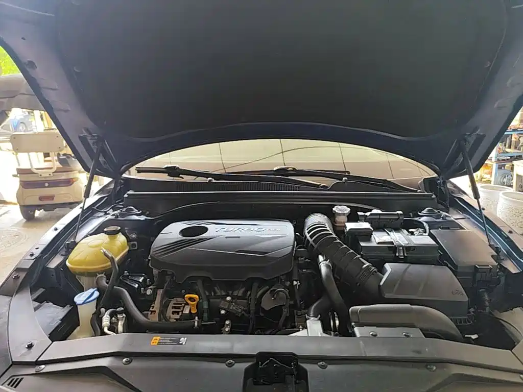 Photo 20 - Hyundai Lafesta