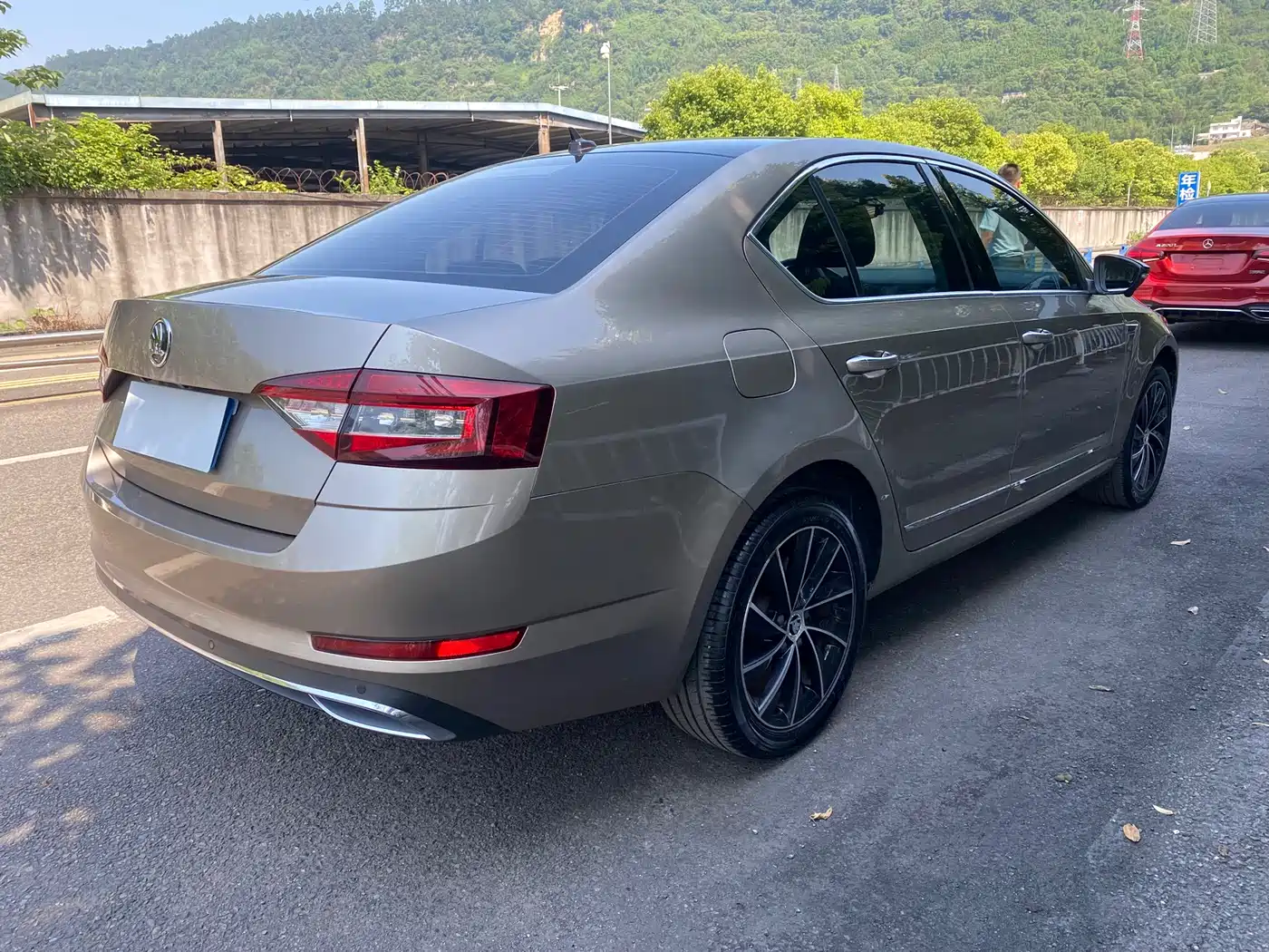 Škoda Octavia 2018 TSI280 DSG Luxury Edition фото 9
