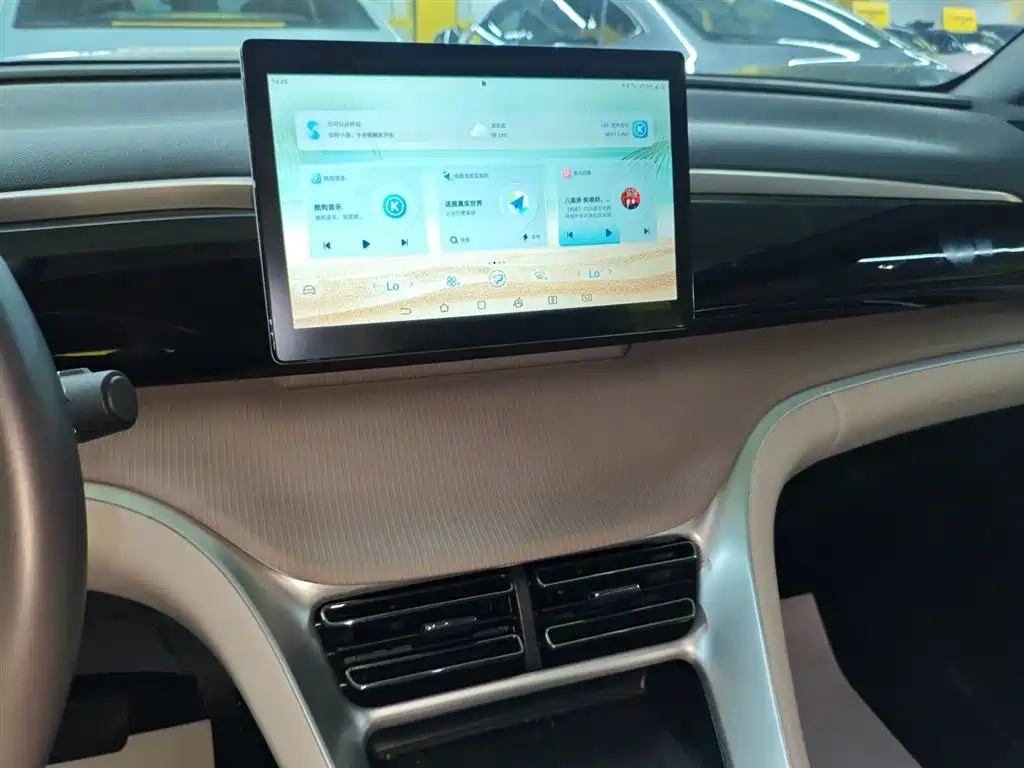 BYD Song Pro New Energy 2024 Glory Edition DM-i 71KM Pilot фото 9